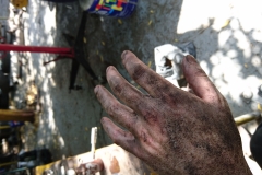 Dirty Mechanic Hands